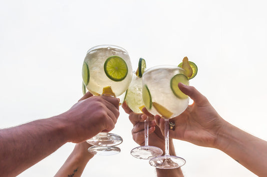 Maestría en el Gin Tonic