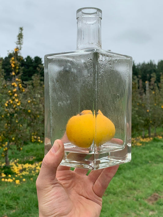 Limona Manzana: El Brandy de Manzana que Nace a los Pies del Volcán Villarrica